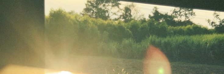 ...header image...i think...